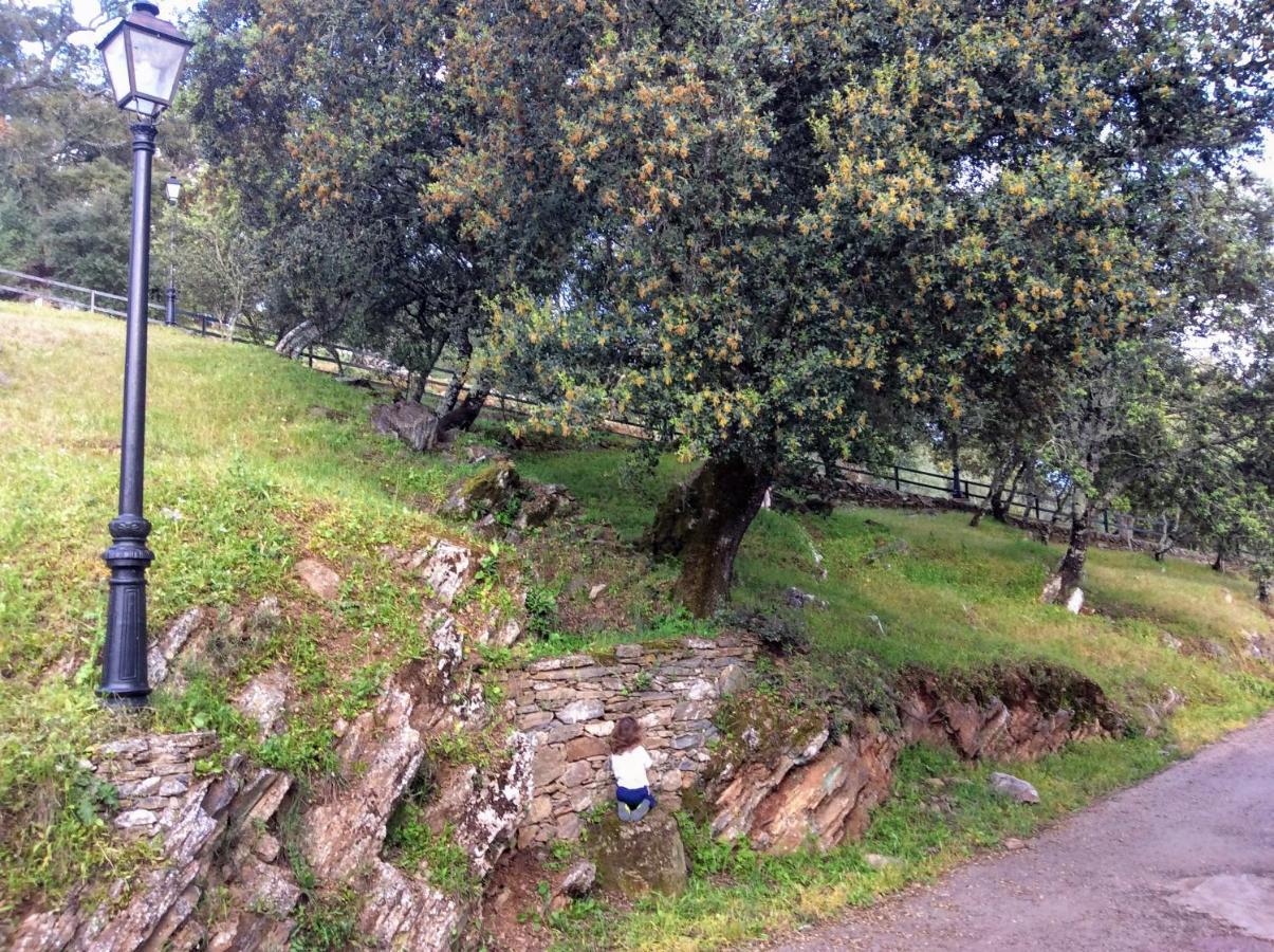 Casa Mandarina Aracena Villa Exteriör bild